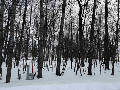 Beach Lot Active Under Contract in Gladstone, Michigan