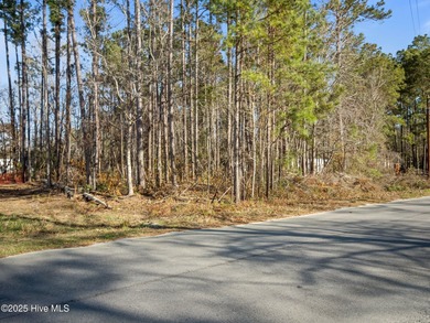 Beach Lot For Sale in Swansboro, North Carolina
