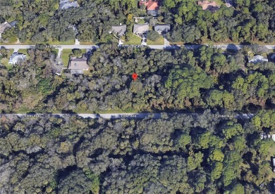 Beach Lot For Sale in Port Charlotte, Florida