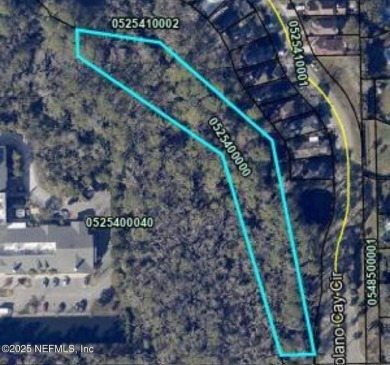 Beach Lot For Sale in Ponte Vedra Beach, Florida