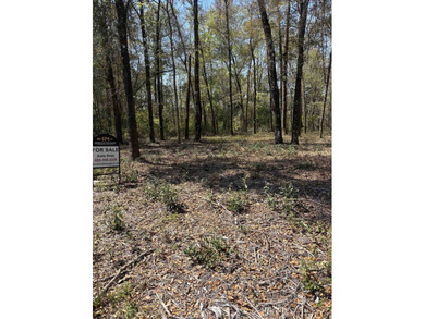 Beach Lot For Sale in Sopchoppy, Florida