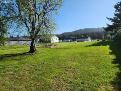 Beach Commercial For Sale in Port Orford, Oregon