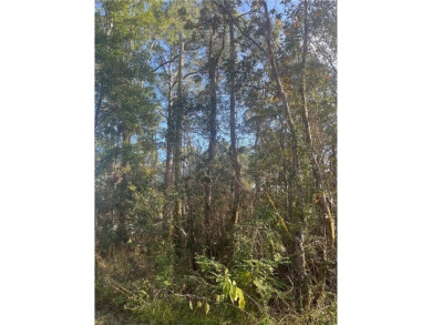 Beach Lot For Sale in Coden, Alabama