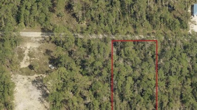 Beach Lot For Sale in Lehigh Acres, Florida