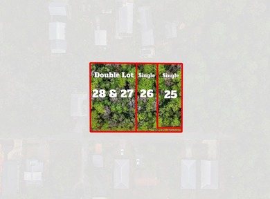 Beach Lot For Sale in Point Washington, Florida