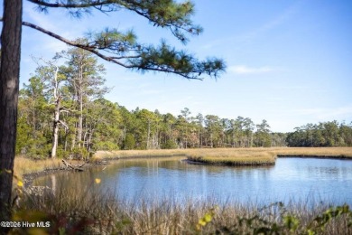Beach Lot For Sale in Peletier, North Carolina