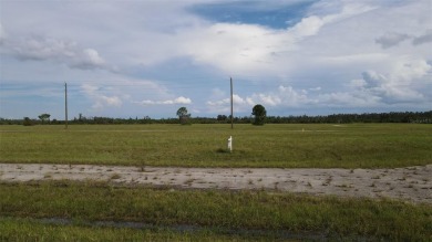 Beach Lot For Sale in Placida, Florida