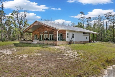 Beach Home For Sale in Steinhatchee, Florida