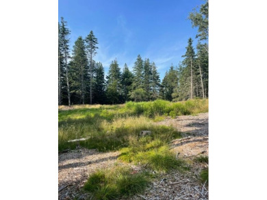 Beach Lot For Sale in Tremont, Maine