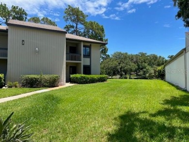 Beach Condo For Sale in Oldsmar, Florida