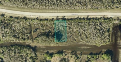 Beach Lot For Sale in Lehigh Acres, Florida