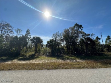 Beach Lot For Sale in Lehigh Acres, Florida