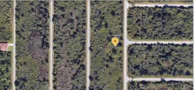 Beach Lot For Sale in Port Charlotte, Florida