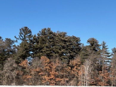 Beach Acreage Sale Pending in Cornucopia, Wisconsin