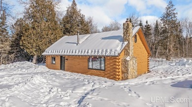 Beach Home For Sale in Hardwood, Michigan