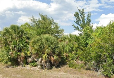 Beach Lot For Sale in Port Charlotte, Florida