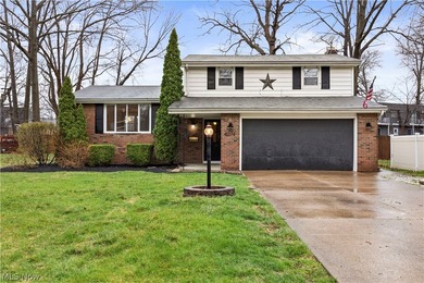 Beach Home For Sale in Lorain, Ohio