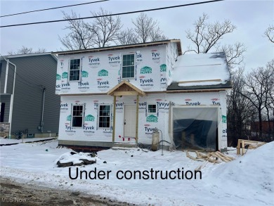 Beach Home For Sale in Mentor, Ohio
