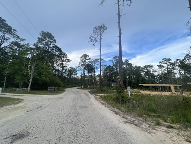 Beach Lot For Sale in Santa Rosa Beach, Florida