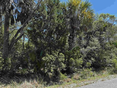Beach Lot For Sale in Crawfordville, Florida