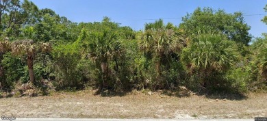 Beach Lot For Sale in Port Charlotte, Florida