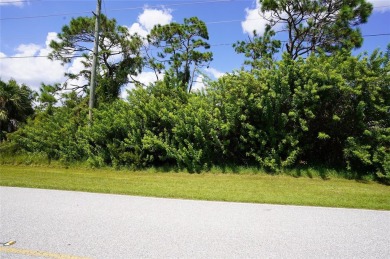 Beach Lot For Sale in Port Charlotte, Florida