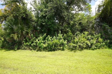 Beach Lot For Sale in Port Charlotte, Florida