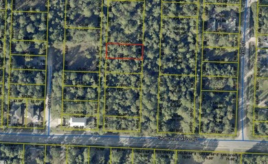 Beach Lot For Sale in Santa Rosa Beach, Florida