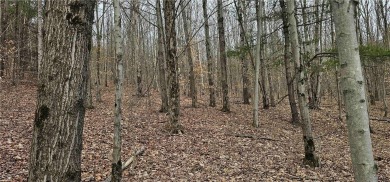 Beach Acreage Sale Pending in Erin, New York