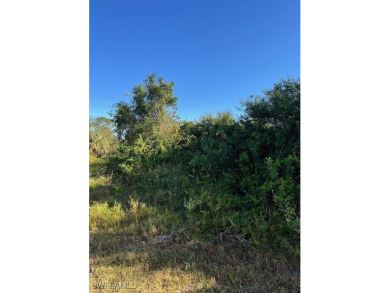 Beach Lot For Sale in Lehigh Acres, Florida