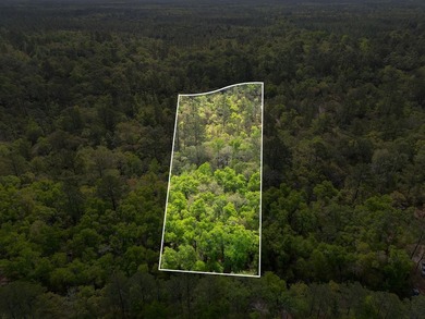 Beach Acreage For Sale in Sopchoppy, Florida