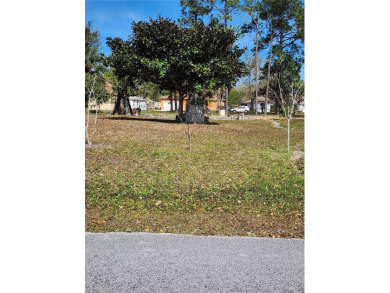 Beach Lot Sale Pending in Palm Coast, Florida