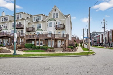 Beach Condo For Sale in Cleveland, Ohio