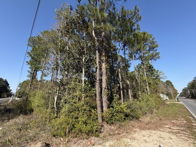 Beach Lot For Sale in Santa Rosa Beach, Florida