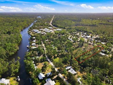 Beach Lot For Sale in Steinhatchee, Florida