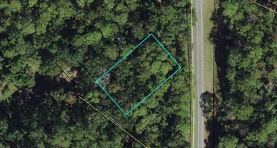 Beach Lot For Sale in Crawfordville, Florida