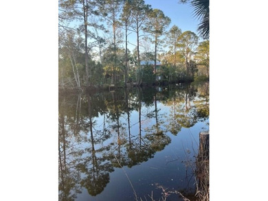 Beach Lot For Sale in Suwannee, Florida