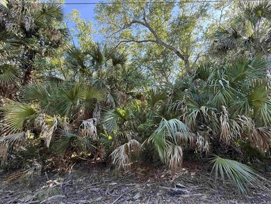 Beach Lot For Sale in Crawfordville, Florida