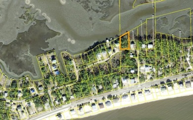 Beach Lot For Sale in Alligator Point, Florida
