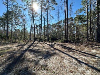 Beach Acreage For Sale in Suwannee, Florida