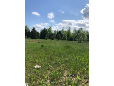 Beach Lot For Sale in Cedar, Michigan