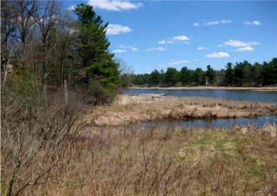 Beach Acreage For Sale in Lyme, New York