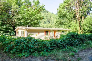 Beach Home For Sale in Mapleton, Oregon