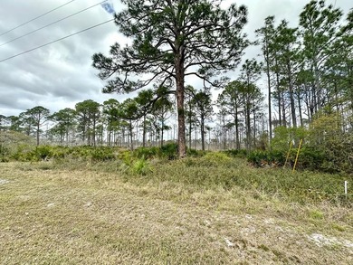 Beach Lot For Sale in Cedar Key, Florida