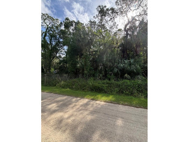 Beach Lot For Sale in Inglis, Florida