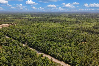 Beach Acreage For Sale in Steinhatchee, Florida