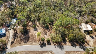 Beach Lot For Sale in Steinhatchee, Florida