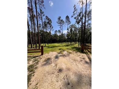 Beach Acreage For Sale in Steinhatchee, Florida