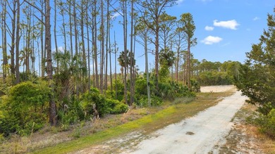 Beach Lot Sale Pending in Cedar Key, Florida