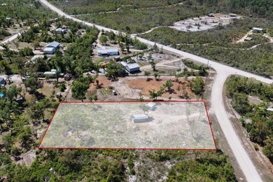 Beach Lot For Sale in Keaton Beach, Florida